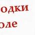 Рюмка водки на столе на гармони