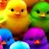 Cute Animals Rainbow Chicken Duck Rabbit Cow Fish Lion Elephant Turtle Dog Cat Tiger