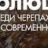 Игорь Данилов Кто есть кто среди черепах краткий обзор современного разнообразия