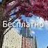 Саблиминал в подарок саблиминал Subliminal подарок