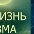 ТАЙНАЯ ЖИЗНЬ ОРГАНИЗМА ЧЕЛОВЕКА запись прямого эфира Родина НВ