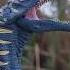 Baryonyx Roar