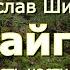 Аудиокнига В Я Шишков Повесть Тайга Часть 9 10 от автора романа Угрюм река Читает Ю Насыбуллин