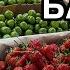 АЗЕРБАЙДЖАН МАЙ БАЗАР КЛУБНИКА АЛЧА ПОМИДОРЫ ЦЕНЫ Baku еда обзор Bazar Yummyfood Tasty