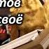 ч 2 Очень многие вопросы не срастались в моей голове Пастор пятидесятников вернулся в Православие