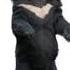 Asian Black Bear Sound Effects