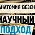 Павел Евдокименко Анатомия везения Принцип пуповины