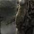 STALKER OST