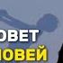 Как мама влияет на сына Отношения со взрослым сыном