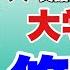 悠仁進学 トンボ論文 東京大学 実話Bunkaタブー取材ライブ