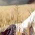 Ahmad Zahir Sultan Qalbam English Lyrics