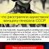 ЗА ЧТО В 1937 ГОДУ БЫЛА РАССТРЕЛЯНА ЕДИНСТВЕННАЯ ЖЕНЩИНА ГЕНЕРАЛ В ИСТОРИИ СССР