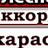 Аида Ведищева Лесной олень Аранжировка на гитаре караоке