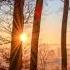 Hanu Dixit Raga Of Thousand Suns