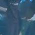 Wang Yibo No Sense Rehearsal 王一博无感彩排 Yuehua Family Concert