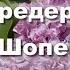 Фредерик Шопен Ноктюрн До минор Op 48 1