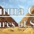 Сокровища Саккары Египет Часть 1 Treasures Of Saqqara Egypt Документальный фильм