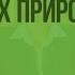 Природные зоны Земли Знакомство с растениями различных природных зон Видеоурок по природоведению
