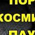21 Дэвид УИЛКОК и Кори ГУД Порталы Космическая паутина 15 09 2015г