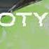 Prodigy Voodoo People Nik Sitz Remix Bass Boosted