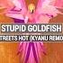 STUPID GOLDFISH Streets Hot KYANU Remix