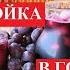 Настойка В гостях у сказки