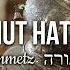 Bizchut Hatorah Motty Steinmetz Dirshu בזכות התורה מוטי שטיינמץ