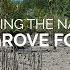 Restoring The Natural Mangrove Forest