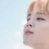 Promise Instrumental Cover BTS Park Jimin