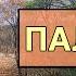 ПАЛЕОГЕНОВЫЙ ПЕРИОД Развитие жизни на Земле 15 серия Возрождение синапсид