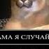 Мама я случайно удалил твой аккаунт в зипета Прикол