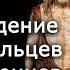 Происхождение неандертальцев и кроманьонцев антрополог Станислав Дробышевский Научпоп