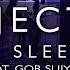 THE SLEEPER By Project LA