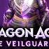 Dragon Age Veilguard CHARACTER CREATOR Rook S Backgrounds