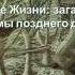 Андрей Иванцов На заре Жизни загадочные организмы позднего докембрия