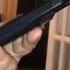 Попугай айфон Попугай копирует звук айфона