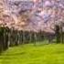 Spring Antonio Vivaldi