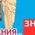 Откровения Ангелов Хранителей Начало 1 Любовь Панова Знакомство с чудом Читает Таль Ман