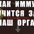 Как обучать свою иммунную систему бороться с онкологией Победить рак Центр практической психологии