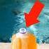 How Much Pee Is In A Pool