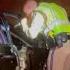 2 Dead After Head On Crash On Highway 4 In Brentwood