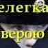 Служить России ролик для старшей группы детского сада и младших школьников