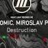 Mladen Tomic Miroslav Pavlovic Destruction Night Light Records