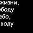 Смысловые галлюцинации За звезду полжизни Звезды 3000 Lyrics Текст песни