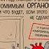 Тук тук сердце Как подружиться с самым неутомимым органом и что будет если этого не сделать