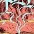 Spell A Waxing Moon Over Babylon The Devil S Blood Cover