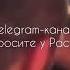 Чимаев подрался с братом Хабиба Нурмагомедова