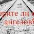 Верите ли вы в ангелов поучительная история читает Светлана Гончарова