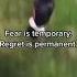 Fear Is Temporary Regret Is Permanent