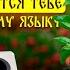 ВСЕ изложения которые попадутся тебе на ОГЭ по русскому языку